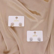 Carregar imagem no visualizador da galeria, Brincos Folheados de Tarraxa (R118-09)