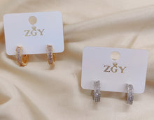 Carregar imagem no visualizador da galeria, Brincos Folheados 1 Dúzia (R0080-10)