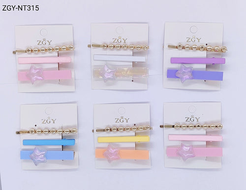 Grampo para Cabelo 1 dúzia com 12 cartelas  (NT315)